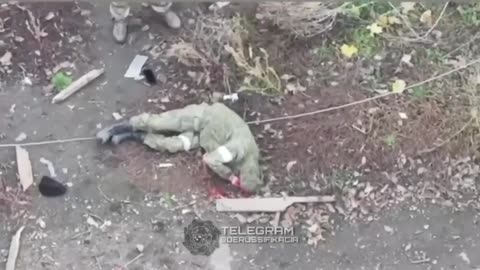 Ukraine war related/combat footage 11/24/25