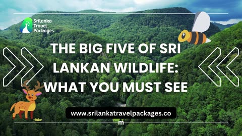 Discover the Big Five of Sri Lankan Wildlife: What You Must See