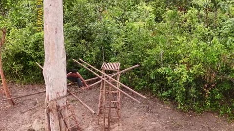 Complete construction of a tree house with a swimming pool.