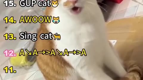 😂🐱 Kids Teach Cats to Meow! | FunFM