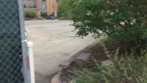 To Downtown and Back