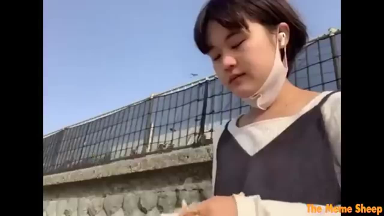 1 hour of memes but it feels like 10 minutes