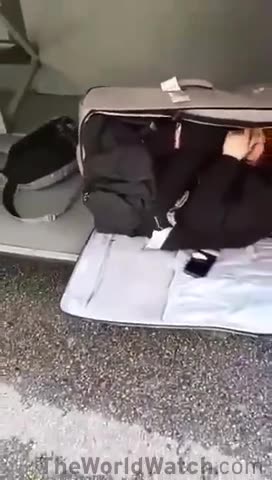 Irish man was taking drugs with his girlfriend, she passed out he thought she had died