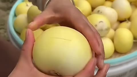 Thật thư giản #satisfying #farming #gardening #nature #shorts