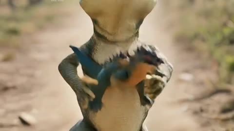 Frog steal kitten toy