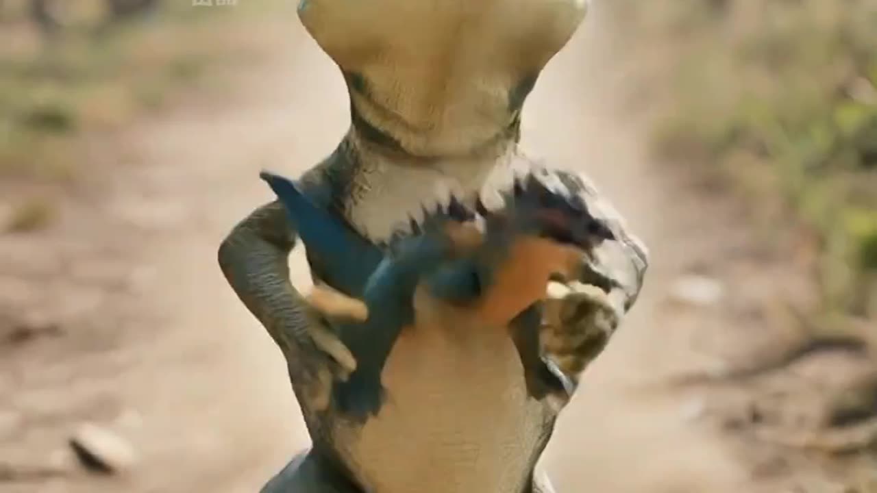 Frog steal kitten toy