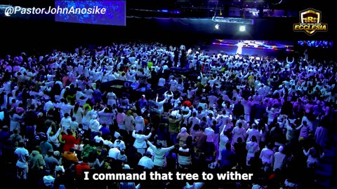Into your WEDNESDAY… From the mouth of 2 witnesses comes forth the perfect intentions of God