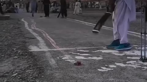 Cricket crush