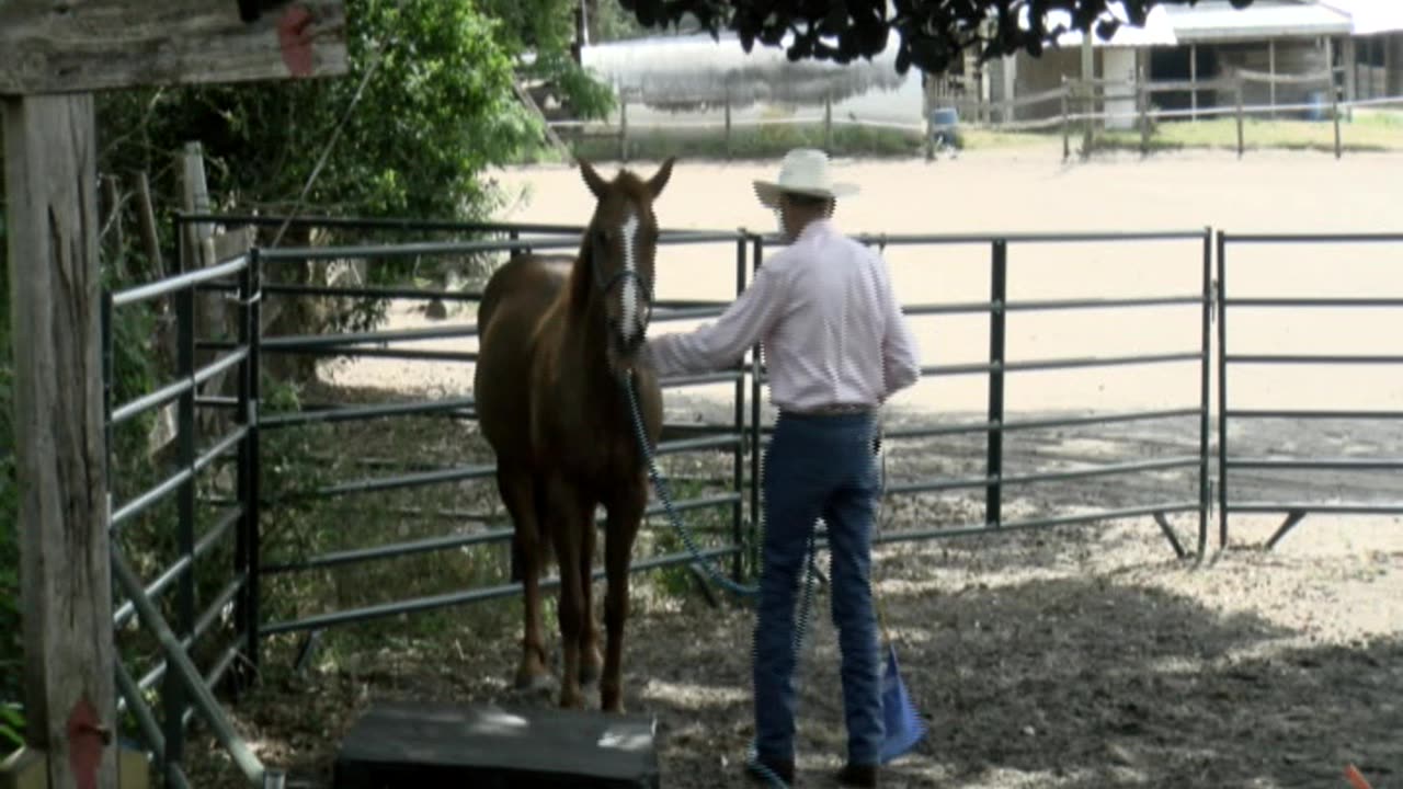 Skipper Calder & Cowboy-up Ministry bring horse training with a message at 11am.