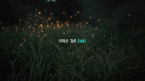Gone Too Soon – Emotional Tribute Song About Love and Loss (Original Lyrics)