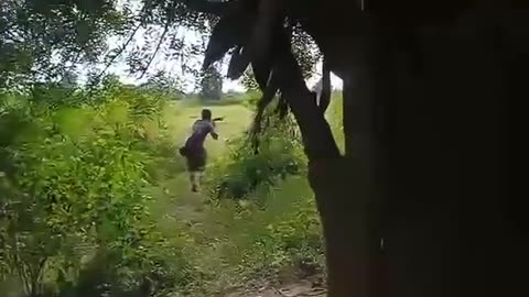 🔥🌿 Myanmar War | PDF Ambushes Junta Forces in Sagaing | RCF