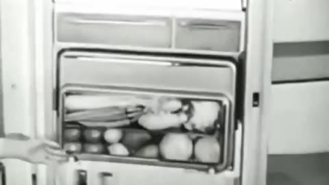 1960s FRIDGES HAD BETER FEATURES THAN TODAY