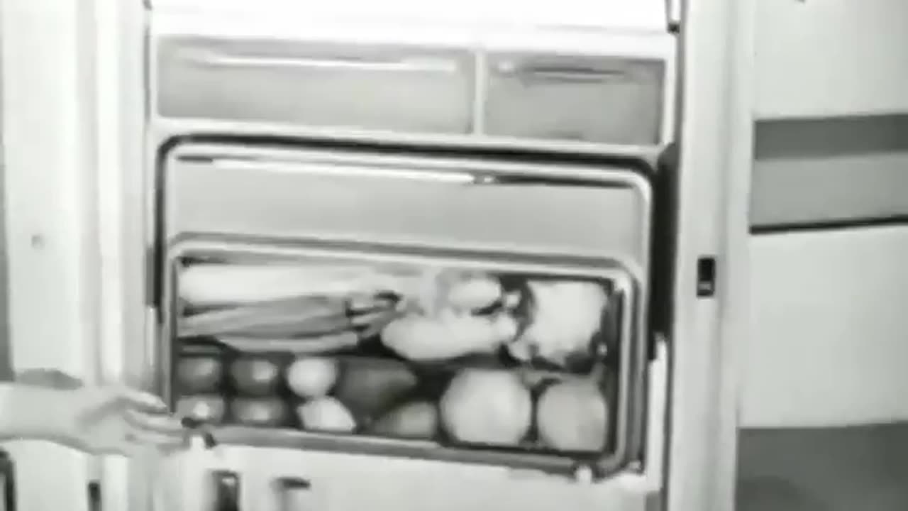 1960s FRIDGES HAD BETER FEATURES THAN TODAY