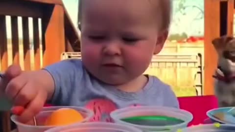 Funny video