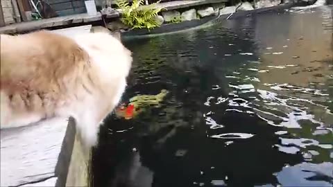 Interaction