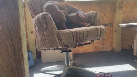 Trying to Find Comfort on a Wobbly Chair