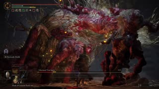 Elden Ring PC | Ulcerated Tree Spirit of Giants' Mountaintop Catacombs boss fight solo #eldenring