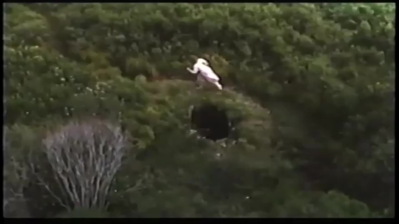 Dolores Claiborne Movie Trailer 1995