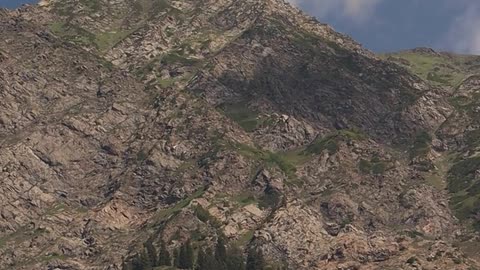 Daily Horoscope | Capricorn 🌟