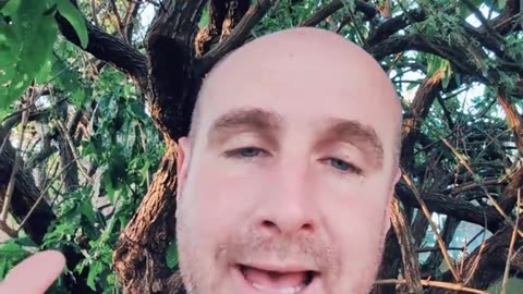 A Story About eBay and Affiliate Marketing