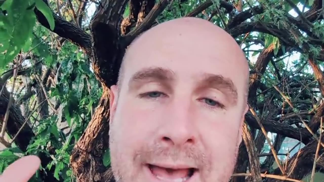 A Story About eBay and Affiliate Marketing