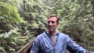 How To Get Rid Of Allergies And The Flu!