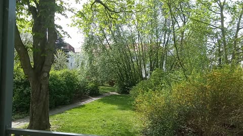 Another spring day Part 2