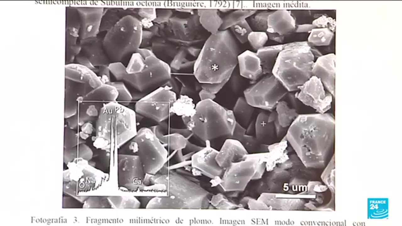 DNA Proves Christopher Columbus Was a Jew!