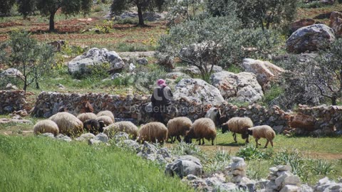 When Trials Hit Hard, Hold Tight to Faith