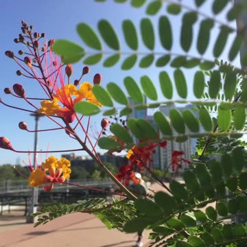 Feel the gifts of nature