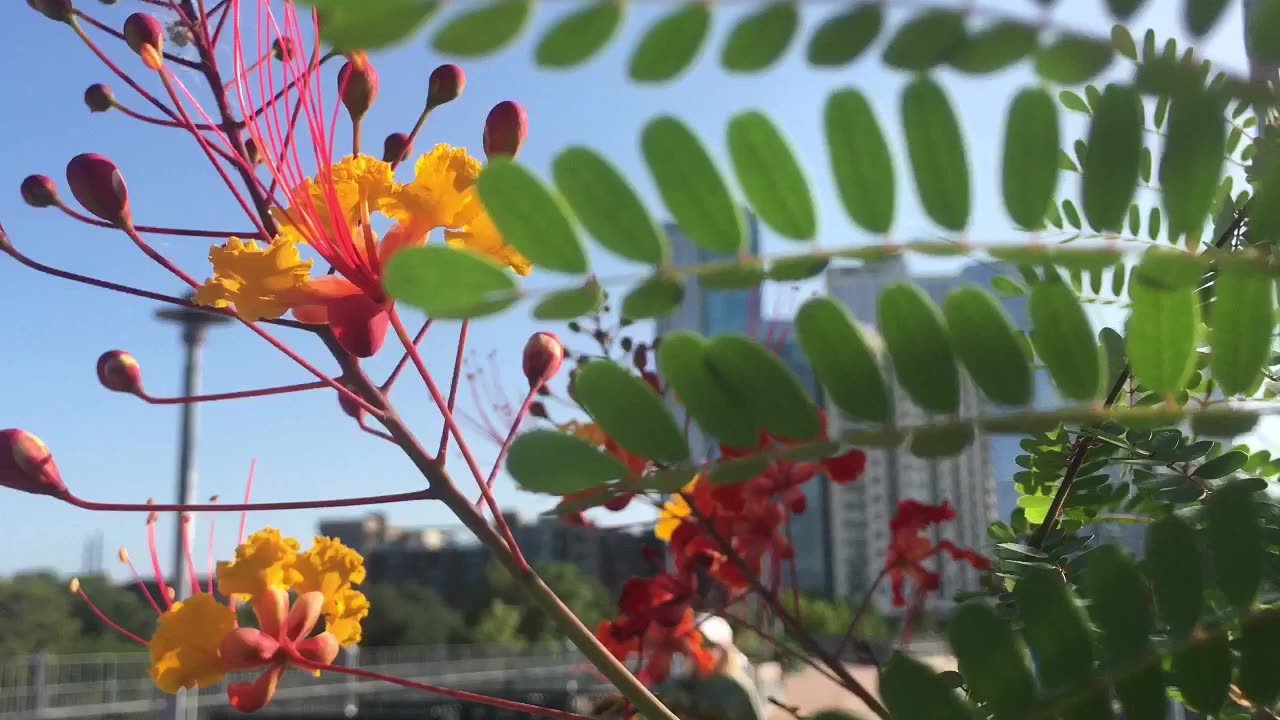 Feel the gifts of nature