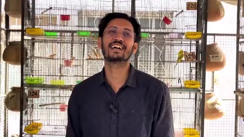 Big birds 🐦 setup home