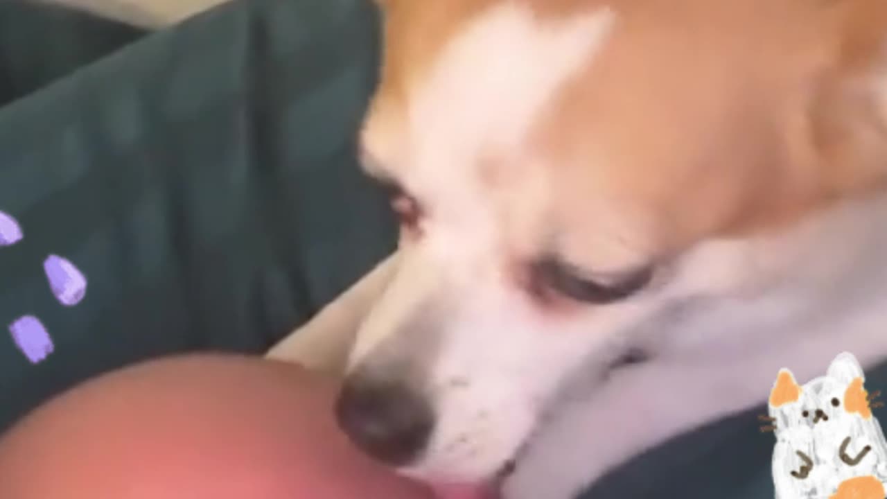 Champion Squad: The Cutest Team Ever!