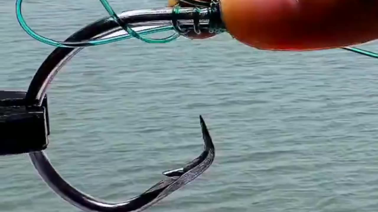 Fishing knot