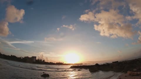 3億年前の海で誕生！アランダスピスの物語