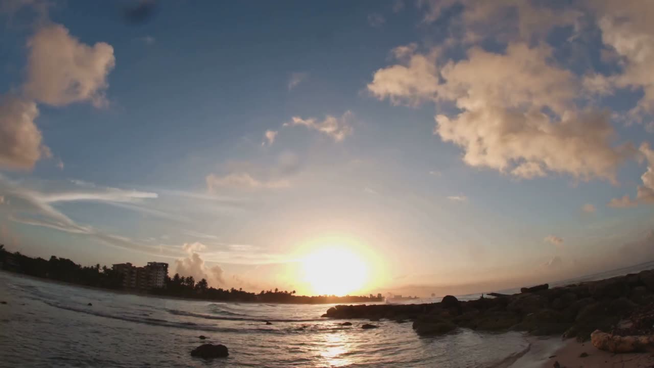 3億年前の海で誕生!アランダスピスの物語