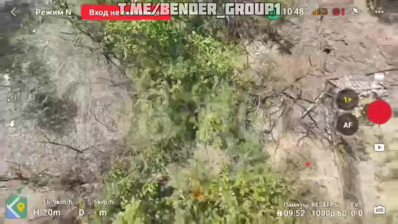 WARNING! Graphic Drone Footage