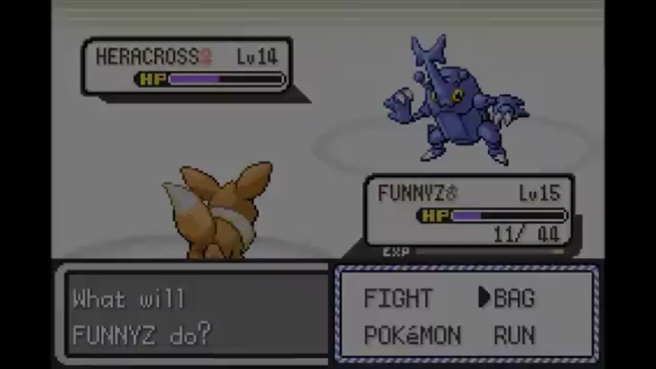 Lets Play a New Pokemon Hack part 6: First Gym aka Bug Fest 2014