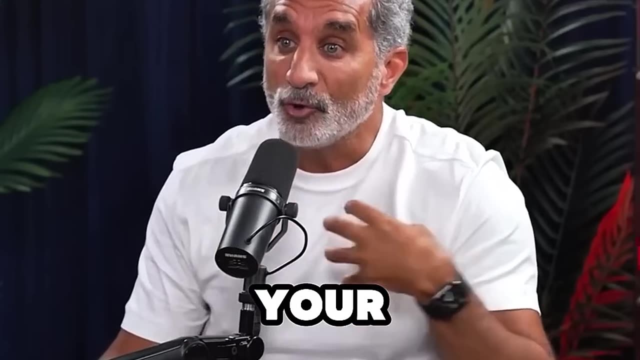 Bassem Youssef - Describing Aipac