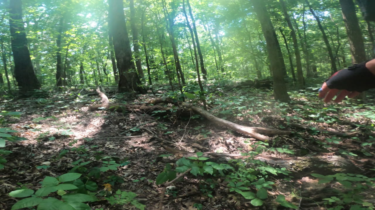 Emi & Izi clearing top of Toy Breaker