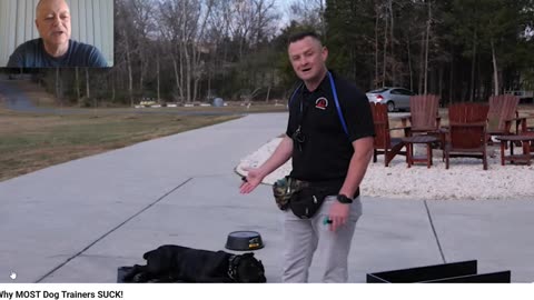 American Dog Training Standard - Flipping the Script on who really Sucks in the Dog Training World