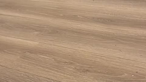 Hamster core