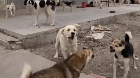 ?