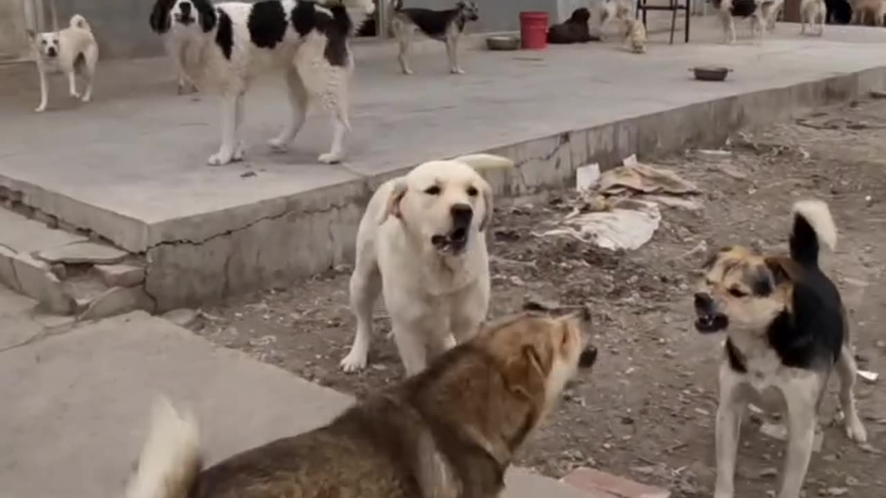 ?