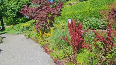 Stadsparken I Örebro 26 Juni 2025