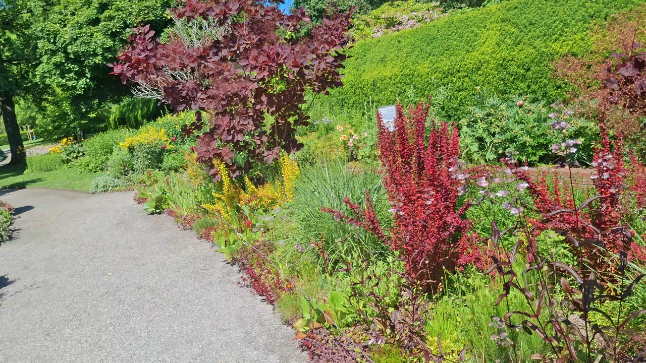 Stadsparken I Örebro 26 Juni 2025