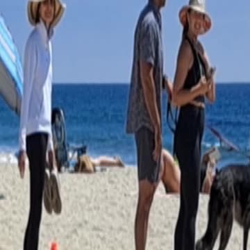 The dog was not impressed.