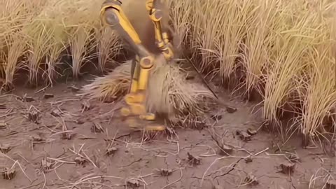 This Robot Just Replaced Farmhands in the Cornfield 🤖🌽