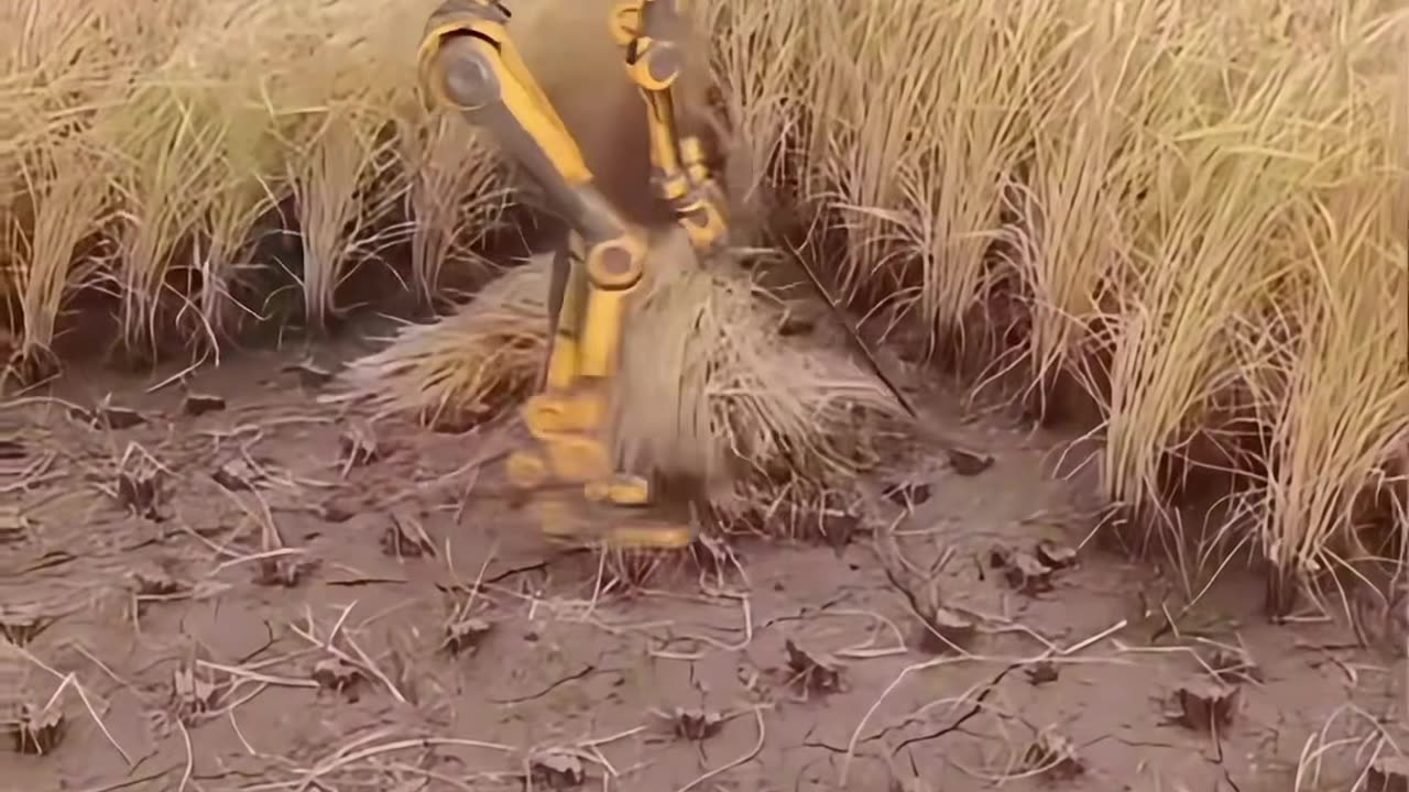 This Robot Just Replaced Farmhands in the Cornfield 🤖🌽