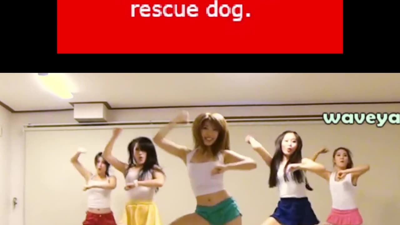 #remix #GangnamStyle #PsyGangnamStyle #GangnamStyleDance #GangnamChallenge #HorseDance